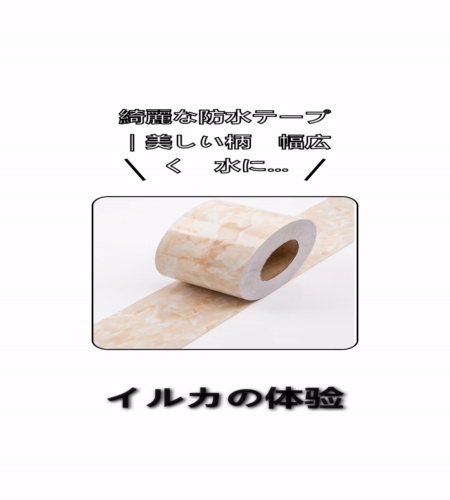 実物検証