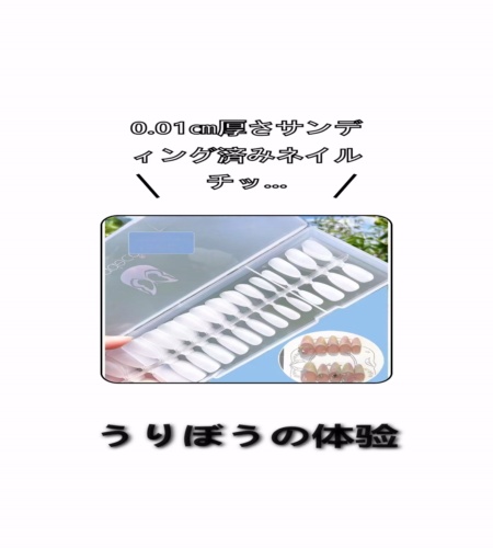 実物検証