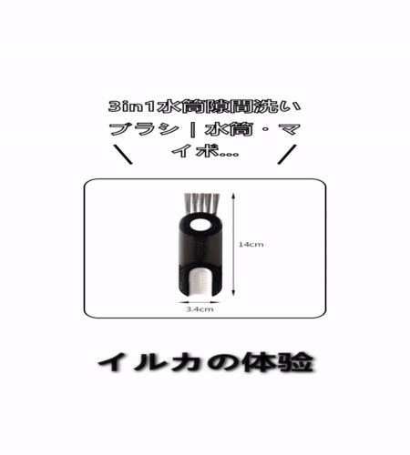 実物検証