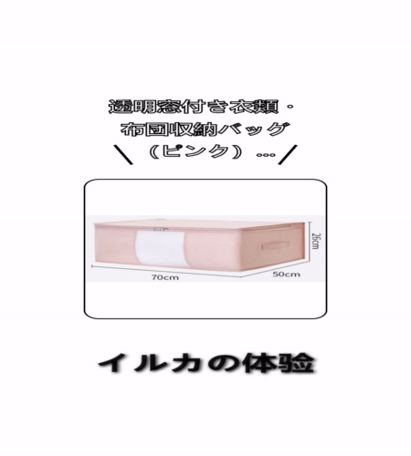 実物検証