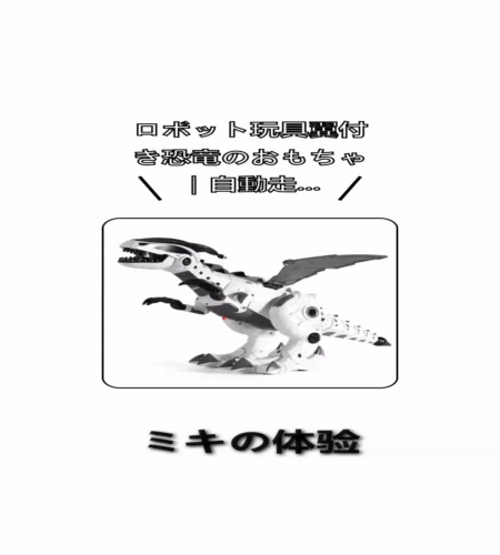 実物検証