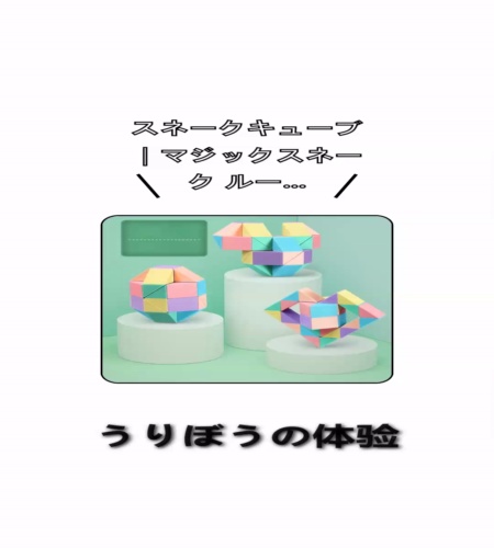 実物検証