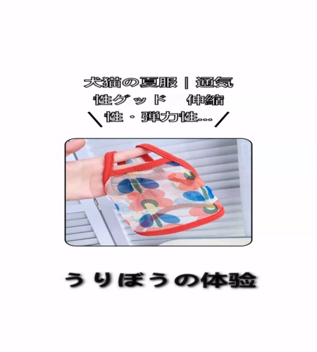 実物検証