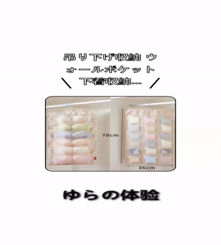 実物検証