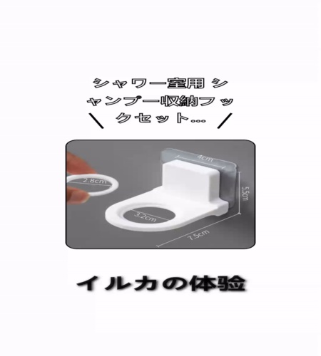 実物検証