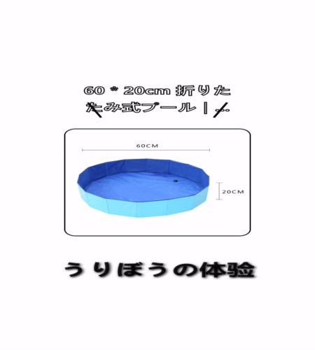 実物検証