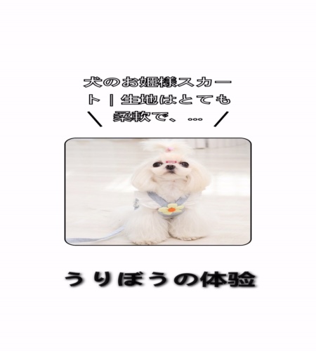 実物検証