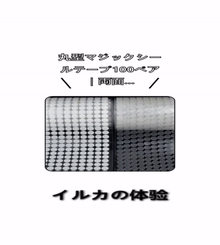 実物検証