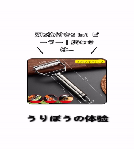 実物検証