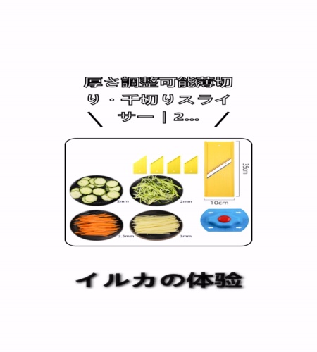 実物検証