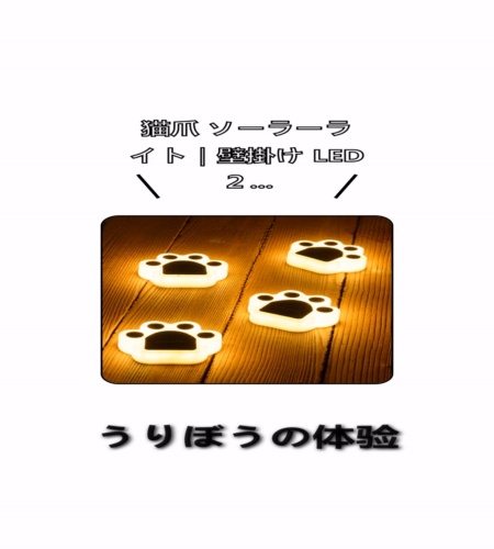 実物検証