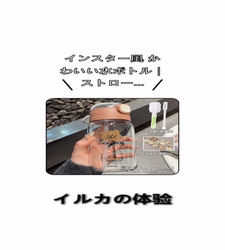 実物検証
