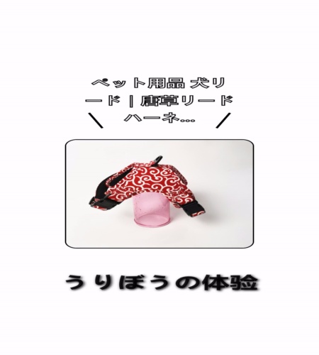 実物検証