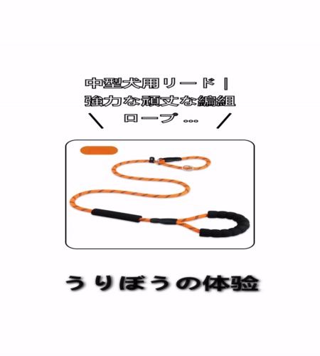 実物検証