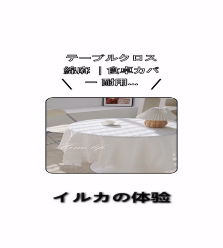実物検証