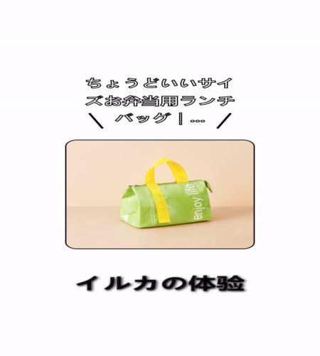 実物検証