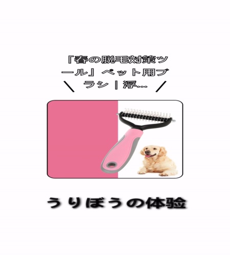 実物検証
