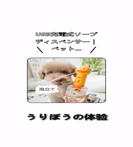 実物検証