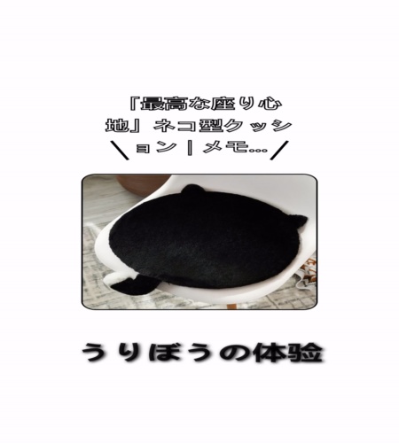 実物検証