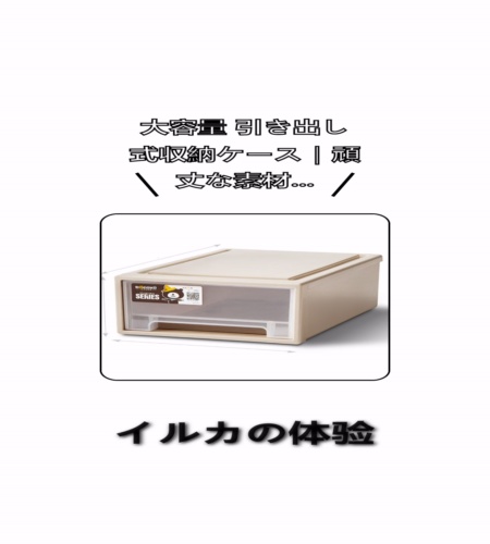実物検証
