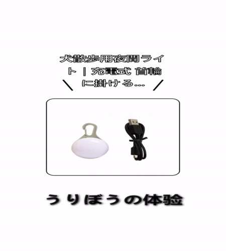 実物検証