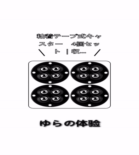 実物検証