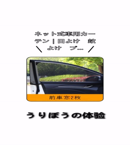 実物検証