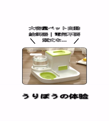 実物検証