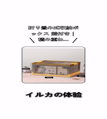 実物検証