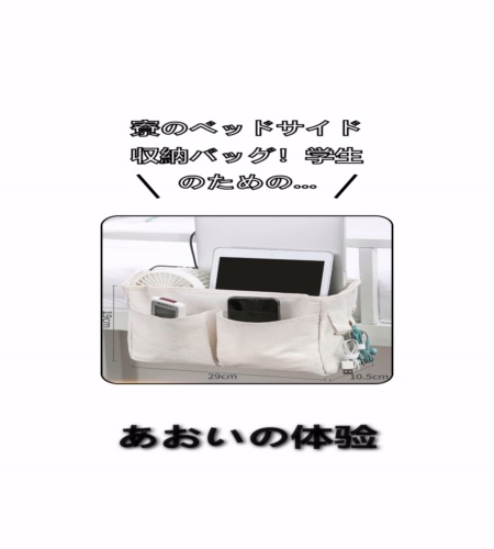 実物検証