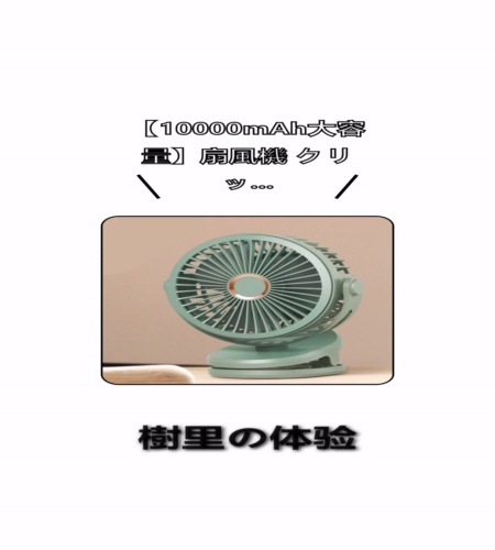 実物検証