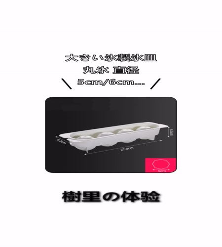 実物検証