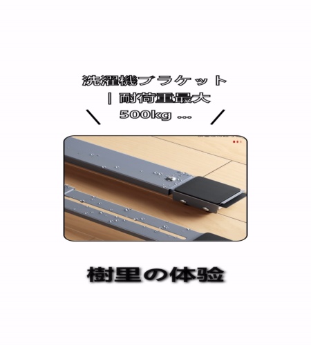 実物検証