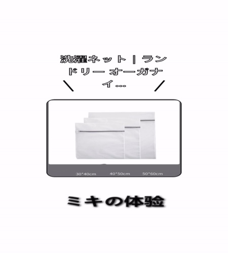 実物検証