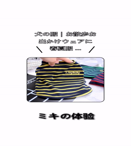 実物検証