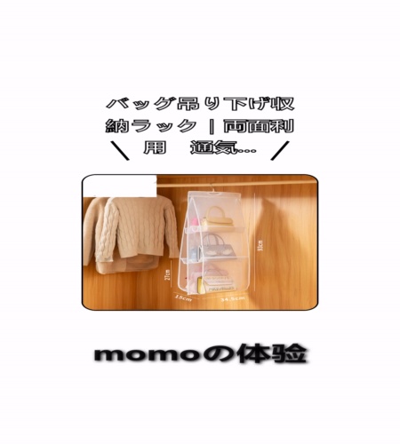 実物検証