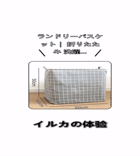実物検証