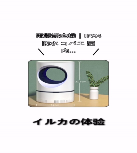 実物検証