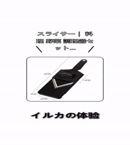 実物検証