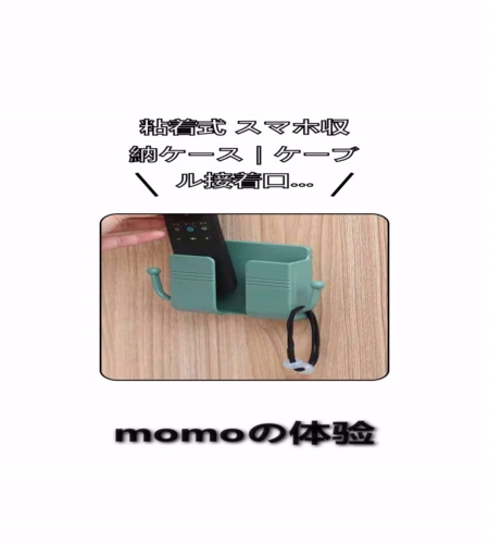 実物検証