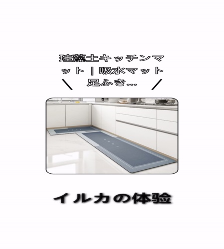 実物検証