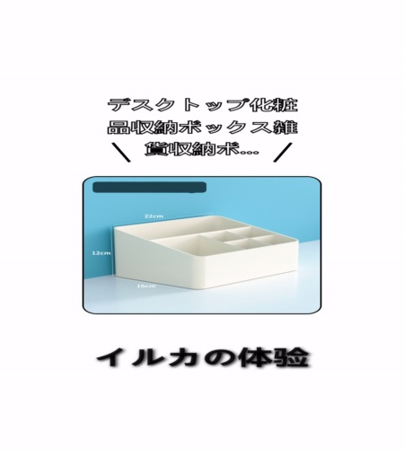 実物検証