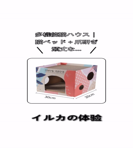 実物検証