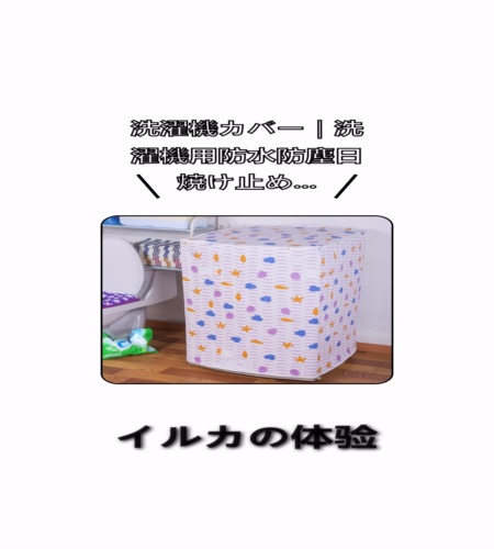 実物検証