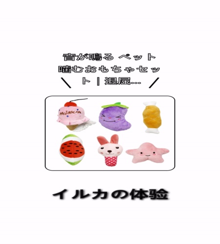 実物検証