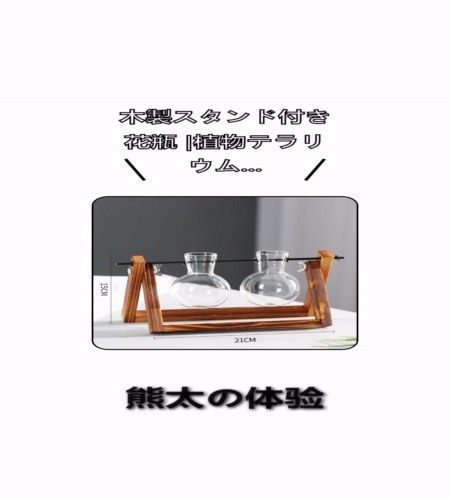 実物検証