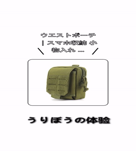 実物検証