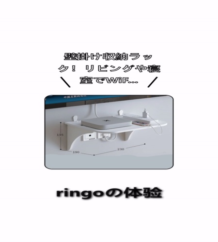 実物検証