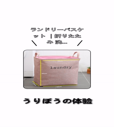 実物検証