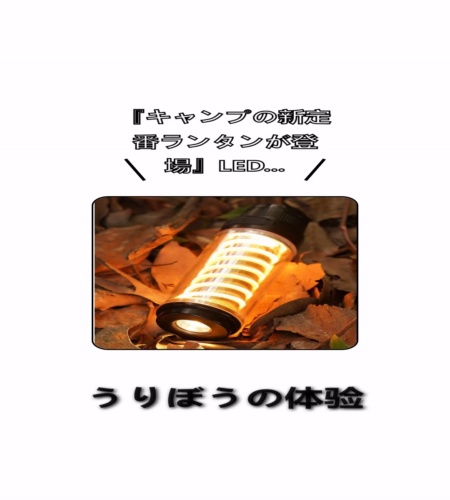 実物検証